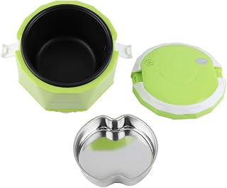 BigKing Arrocera Eléctrica Portátil Multifunción de 24 V, 140 W, 1,6 L para Camiones (Verde)